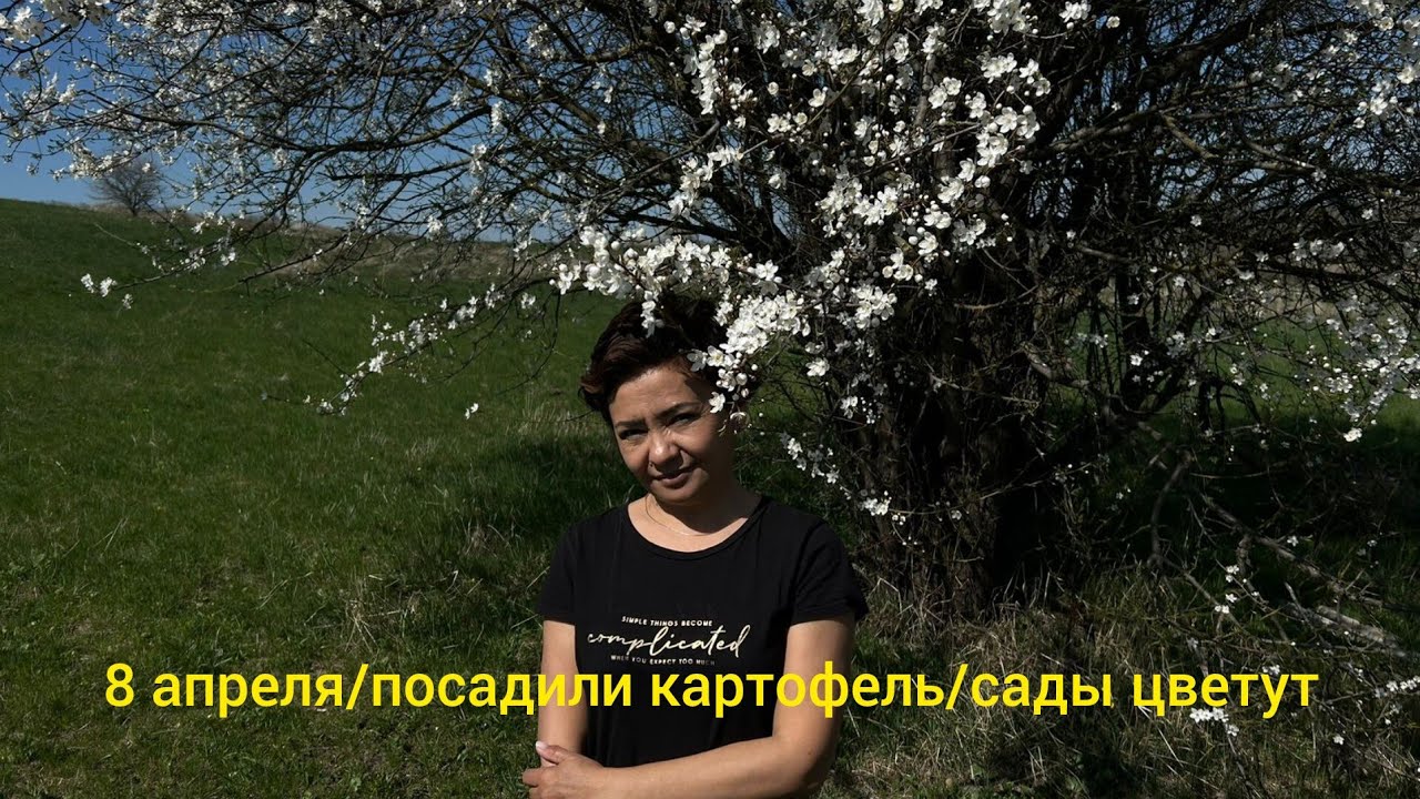 8 апреля/посадили картофель#сады цветут#мы на хуторе#жизнь на юге