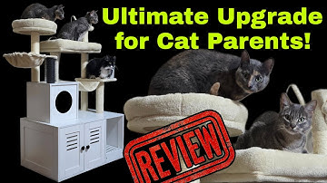 GarveeLife Cat Tree & Litter Box Combo Review: Perfect Cat Condo!