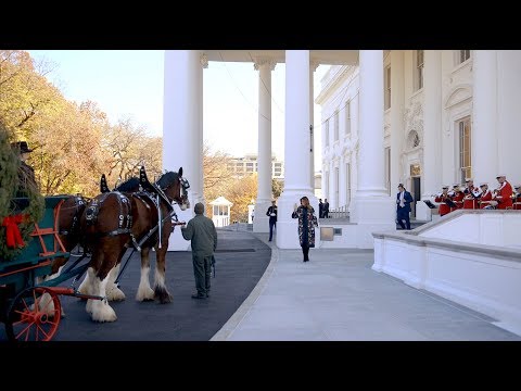 first-lady-melania-trump-receives-the-2019-white-house-christmas-tree