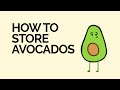 How to Store Avocados