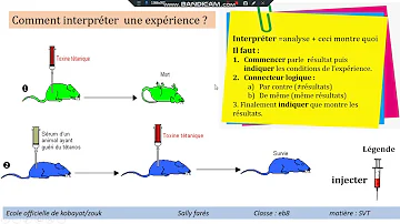 Comment interpréter un résultat en SVT ?