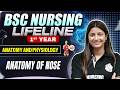 Nose Anatomy BSc Nursing 1st Year | Anatomy & Physiology Of Nose Explained 🔥 | Lifeline Batch