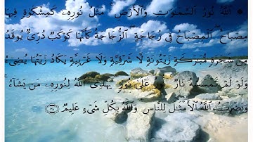 سورة النور * بصوت علي الحذيفي