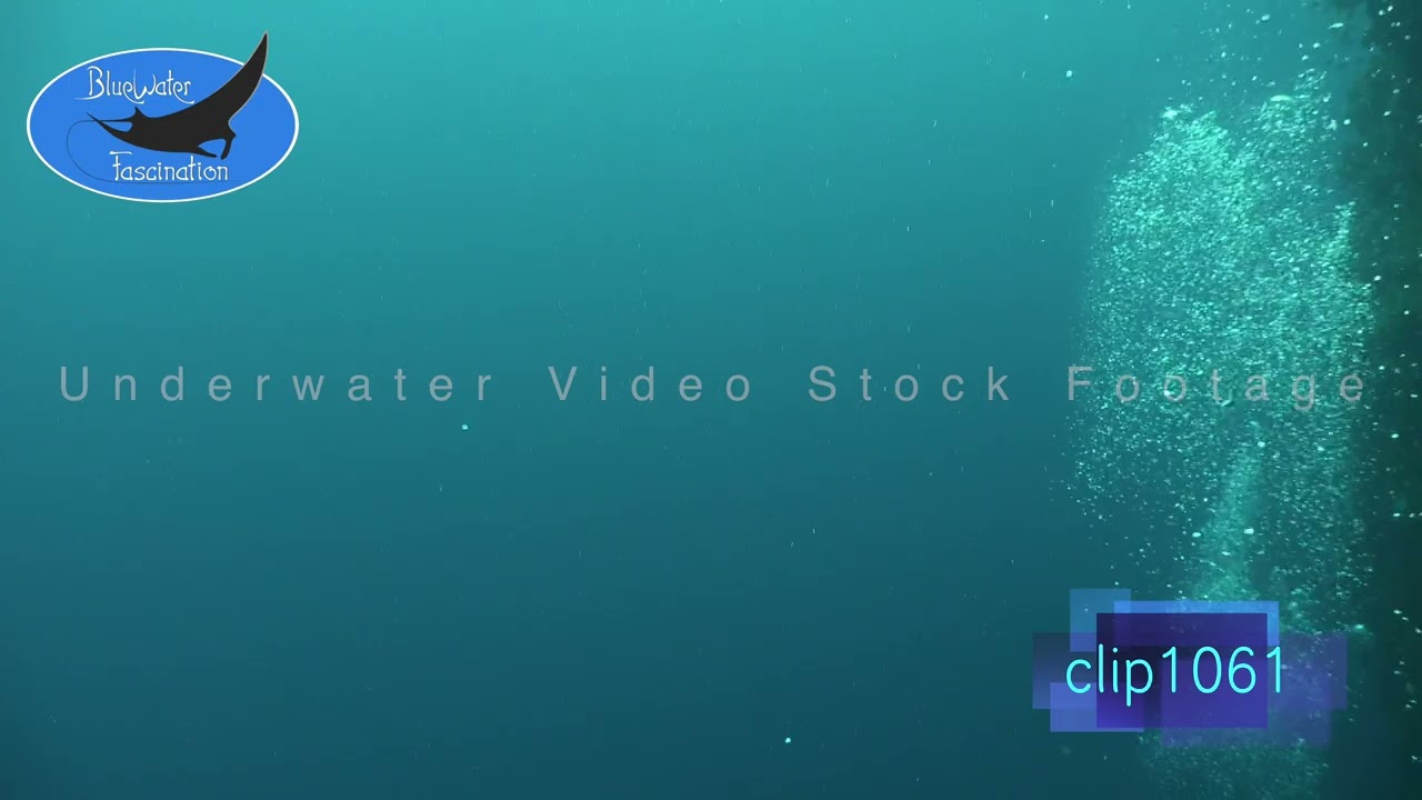 1061_Scuba diver bubbles rising to water surface. 4K Underwater Royalty Free Stock Footage.