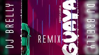 Cosculluela - Guaya Remix - DJ Brelly Remix