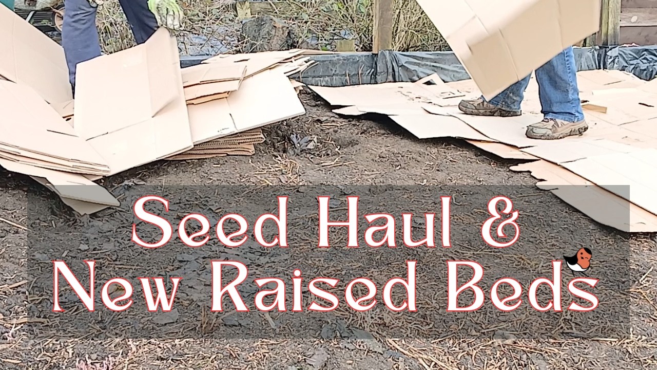 Seed Haul and Creating New Raised Beds - Allotment Diaries 8 - #allotmentlife #seedhaul