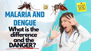 Malaria or Dengue - Which Disease is More Deadly?