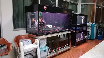 Aun พี่อั๋น ถนนจันทร์ - งานสลับที่ตู้ปลา 48 กรองบนแทน 36 กรองมุมพร้อมทำระบบ O4FS งานล้าง จบที่งานปลา