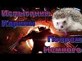 Проходим Испытание Карины. Марвел: Битва Чемпионов