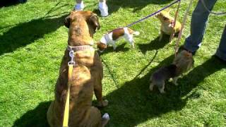 VID00137.AVI