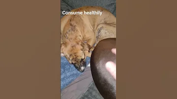 You Are What You Consume So 