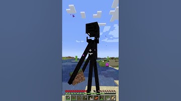 I thought Minecraft was a kids game