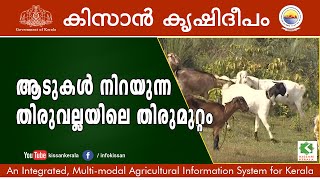 Documentary on a successfully managed goat rearing unit in Thiruvalla, Pathanamthitta district