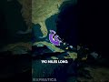 Did You Know These Facts About The Bahamas рџ рџ ё Did You Know These Facts About The Bahamas рџ рџ ё
