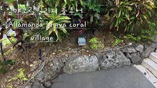 임갸 코랄 빌리지 룸투어 (Allamanda Imgya coral village )