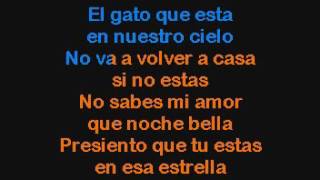 Roberto Carlos   Gato En La Oscuridad  Karaoke con voz guia