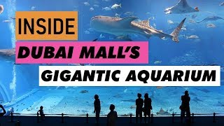 Ofw travel vlog: inside dubai mall gigantic aquarium whale shark and
weird fishes