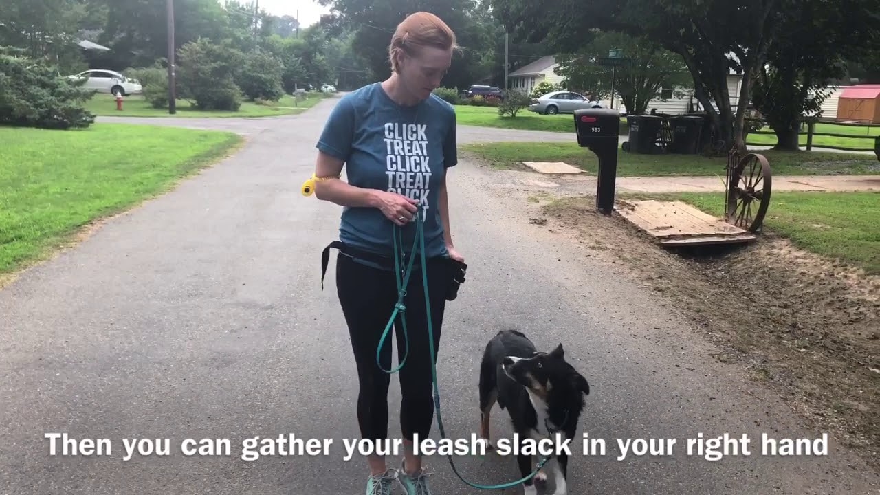 Loose Leash Walking Leash Handling Mechanics YouTube