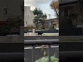 【投稿映像】秋田市保戸野 川を渡り、繁華街に向かうクマ