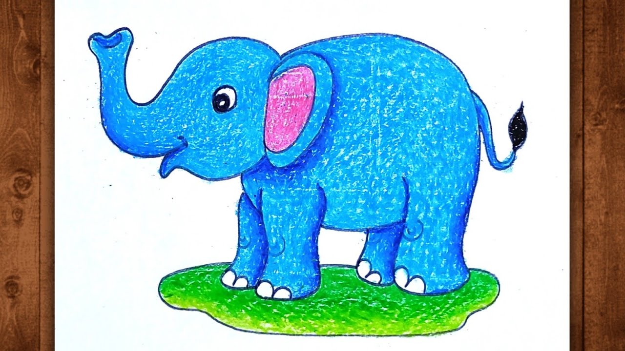 Elephant Colour / Elephant Drawing Colour / Elephant Drawing