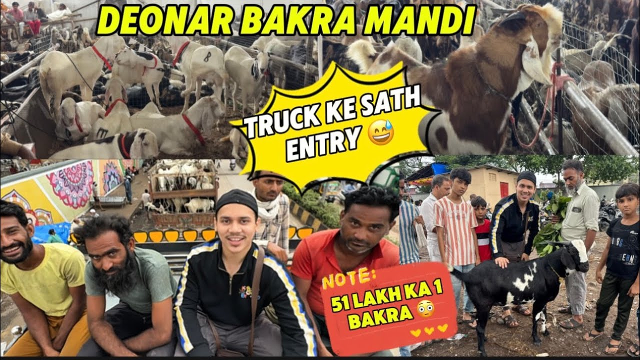 Deonar bakra mandi latest update, deonar bakra mandi vlog, bakra mandi deonar, deonar bakra mandi
