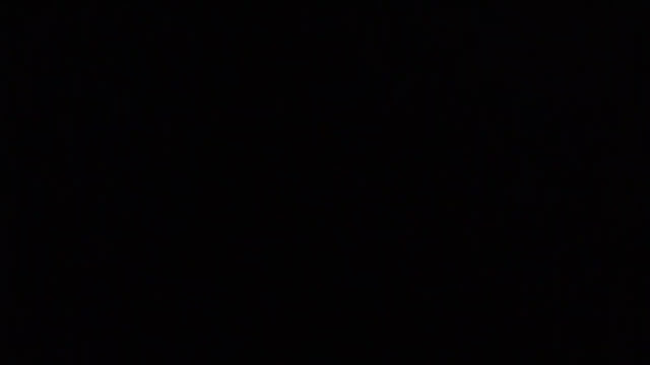 Ugh Ugh Ugh And a UGH/ Sam Talk About Dog Trust Vet And Cat Protection 