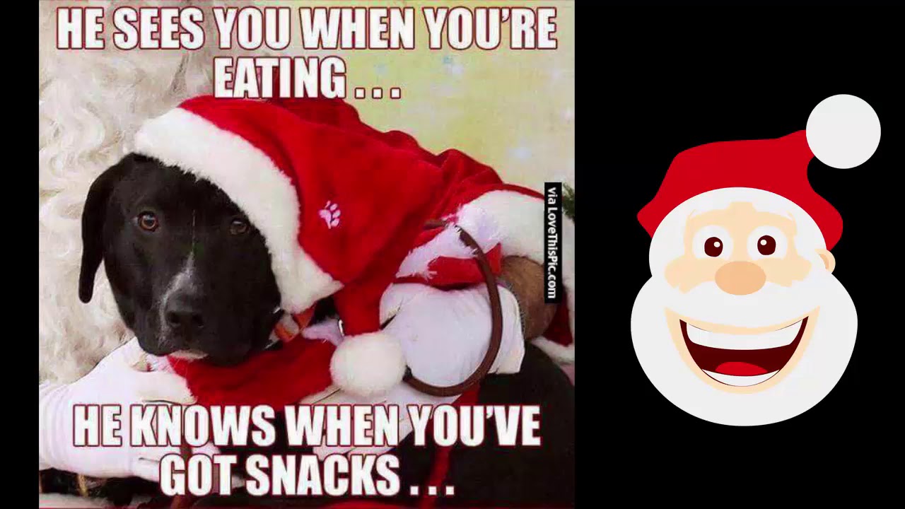 funny christmas story 1 YouTube