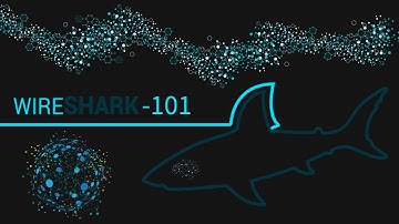 Wireshark 101: A Beginner