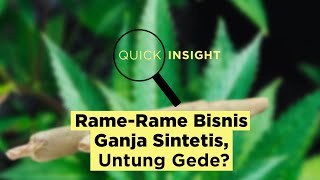 Quick Insight: Rame-Rame Bisnis Ganja Sintetis, Untung Gede?