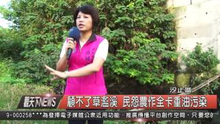 1041105觀天下新聞HD03顧不了草濫溪 民怨農作全卡重油污染