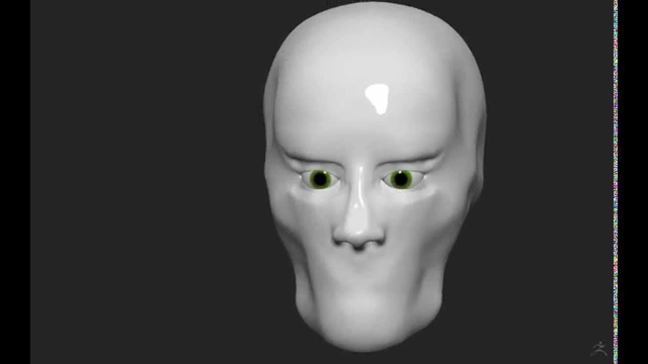3d model eyelids animation zbrush