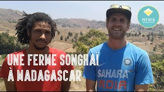 UNE FERME SONGHAÏ À MADAGASCAR !