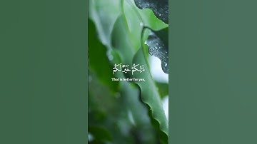 يآ أيها الذين آمنوا إذا نودي للصلاة من يوم الجمعة #محمد_اللحيدان #تريند #تلاوة_خاشعة #تلاوات #قرآن
