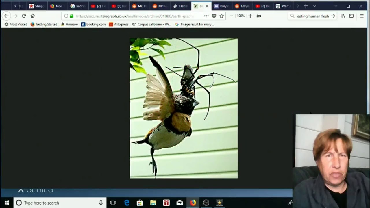 [MIRROR] Wart Eating Crickets and Bird Brain Eating Praying Mantises