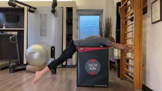 #21 - REVERSE HYPER STRADDLE