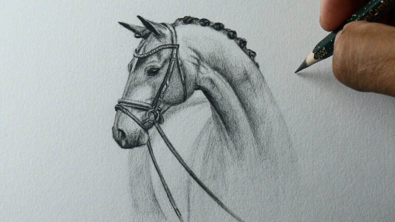 Desenho realista cavalo  Desenho realista, Desenho, Realista