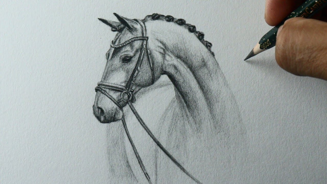 TUTORIAL: Como desenhar um CAVALO! How to draw a horse! 