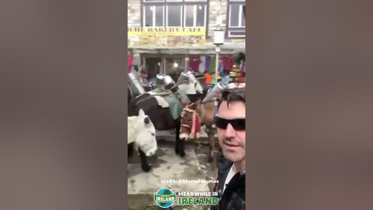 How the highest Irish bar in the world gets its Guinness! YouTube