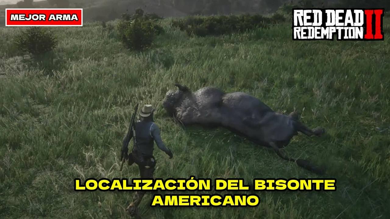 Localización Del Bisonte Americano Y Mejor Arma Para Cazarlo | Red Dead ...