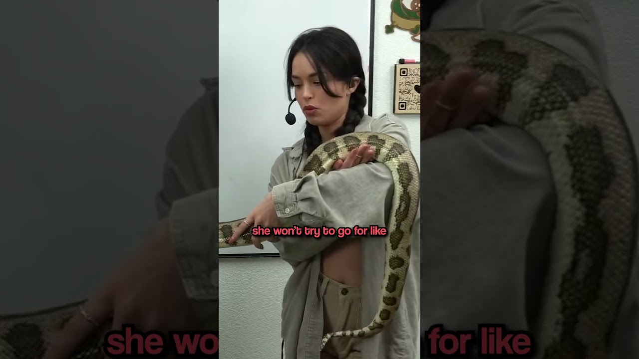 Valkyrae holds Noodle