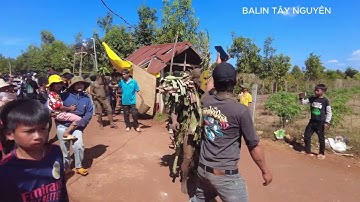 LỄ BỎ MẢ CỦA NGƯỜI JRAI- GIA LAI- TÂY NGUYÊN- LÀNG KÉP XÃ IA MƠ NÔNG- VIDEO BALIN