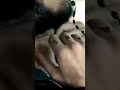 أموات الحفرة كوشوفالي أموات الحفرة كوشوفالي
