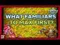 What familiars to max first in my opinion? - Lords Mobile