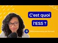 Cest quoi lconomie sociale et solidaire less