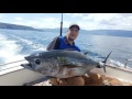 Croatia Big Game Fishing