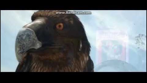 movie clip (2) rango 2011. the bird chase