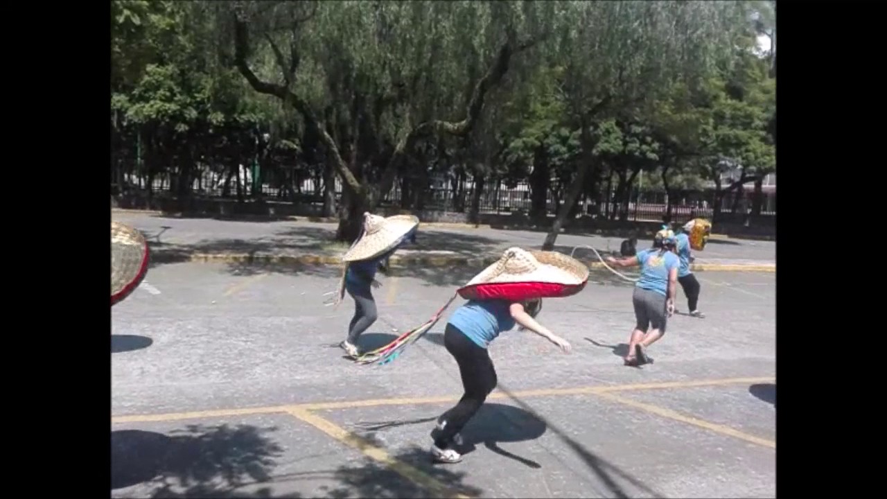 Danza de tecuanes de la UNAM (Danza tradicional mexicana) camera iphone 8 plus apk