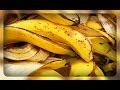 банановая подкормка, супер удобрение
