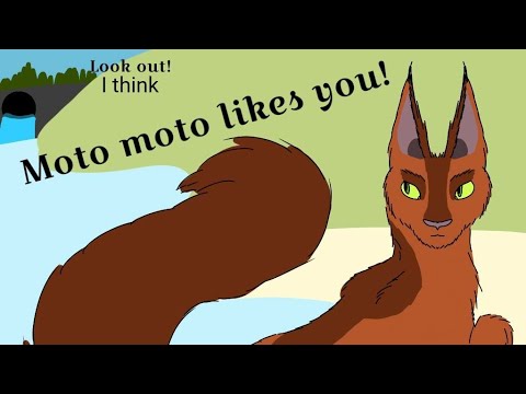 Moto Moto meme (Warrior Cats) 