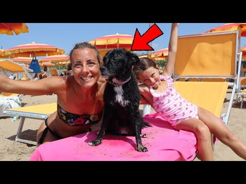 Video: Vacanza da sogno hawaiano con il tuo cane!